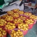 소영농장 이미지