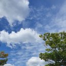 포이초등학교 이미지