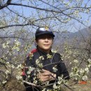 광양농원 이미지