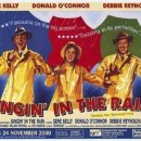 Kelly(켈리) 이미지