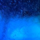 청기와회집 이미지