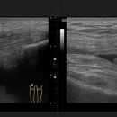 경희대보한의원 이미지