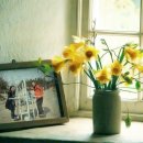 예림일터 Daum카페