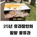 함양조청한과 | 함양 콩유과 한과 유과 수제한과 조청한과 1박2일 편스토랑 콩과자 유과 구매방법