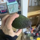 혜우약국 이미지