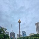 양산동굴공룡박물관 | 여행 : 비오는 시드니, 시드니 타워 뷔페(스카이피스트) 점심 후기 &amp; 호주 박물관(비오는 날 강추) :) *