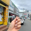 대백애견 | 경산 애견동반 네일샵, 젤네일 잘하는 곳, ‘네일:봄’ - 강아지 상주🌝