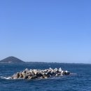 우도동천레저2