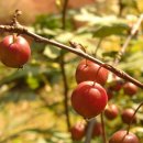 열매유치원 이미지