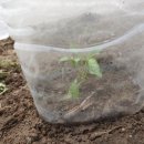 울릉초등학교 이미지