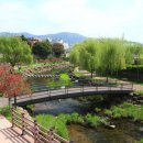 순천-77호 이미지