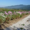 간전면백운관 이미지