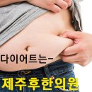 허성한의원 | [제주다이어트한의원]다이어트한약의 원리와 효과!