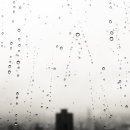 미가공인중개사사무소 이미지