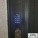 완월동232 이미지