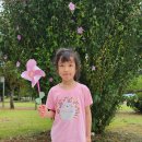 무지개빛 작은도서관 이미지