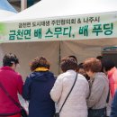 금천면마을관리사회적협동조합
