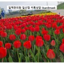 감로탕 이미지