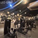LEO GYM | 신사동헬스장 LEO GYM 헬스장 어디가 좋을까