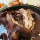 파낙스삼계탕