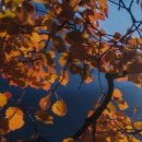 네오웰빙 이미지