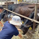 재릉초등학교 병설유치원 이미지