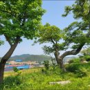 안좌 여흘리 우실 네이버블로그