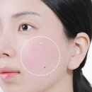 바엘 BAELL 파로앰플 피부 진정앰플 민낯 컨디션 인생템
