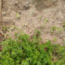 삼송농장 이미지