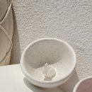 토끼소주 이미지