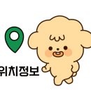 요거넛넘버나인 이미지