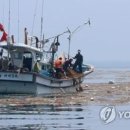 생각쑥쑥 영어동화 책놀이 이미지