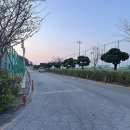 백운포체육공원(테니스장앞) 이미지