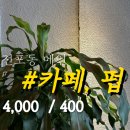 메인펍 이미지
