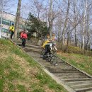 우면산3-29 이미지