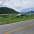 풍산단호로(풍산읍) 이미지