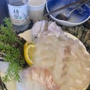 정횟집 | 구월동 로데오 횟집 19,900원인데 리필까지? 정과장횟집 솔직후기