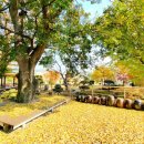 하북초등학교 병설유치원 이미지