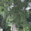 월전포경로당 이미지