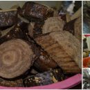 행복건강원 이미지