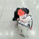 백패션세탁소 | 제니 공항 가방 이마트 헐켄 롤링카트 토트백 실제 사용후기(내돈내산)