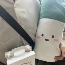 갖고파인형