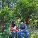 난드르 통나무집 | 반려견동반 제주도 2박3일 여행코스 (식당, 숙소,여행지 추천)