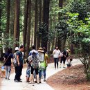 강진 바스락길 이미지