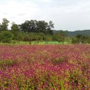 나리공원 파크골프장 화장실 이미지