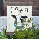 제주아그로 | [당진/예산 - 카페] 우유농가 / 아그로랜드 : 제주 요거트보다 맛있다