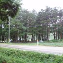 번천리마을 이미지