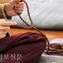 [염불스테이 ②] 번뇌 맞서 싸울 시간에 아미타불 부르고 마음에 새겨라 이미지