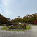 에코야영장 이미지