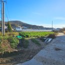 파주서패동공인중개사사무소 이미지